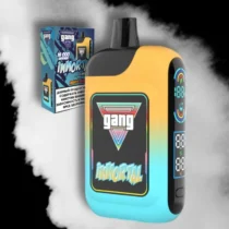 gang-immortal-16000-ice-cream-mango-strawberry