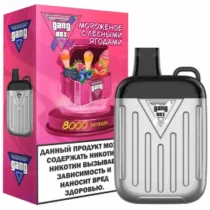 gang-xbox-8000-ice-cream-with-wild-berries