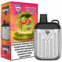 gang-xbox-8000-raspberry-apple-mint