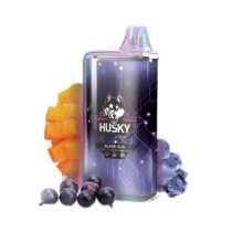 husky-cyber-new-8000-mango-blackcurrant-ice