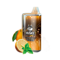 husky-cyber-new-8000-orange-lemon-peppermint-ice