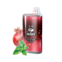 husky-cyber-new-8000-pomegranate-peppermint-ice