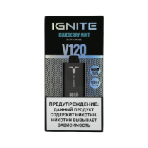 ignite-v-120-12000-blueberry-mint