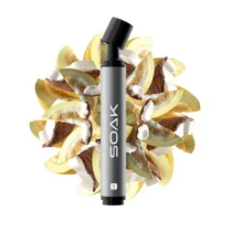 soak-s-coconut-melon