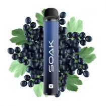soak-x-wild-blackcurrant